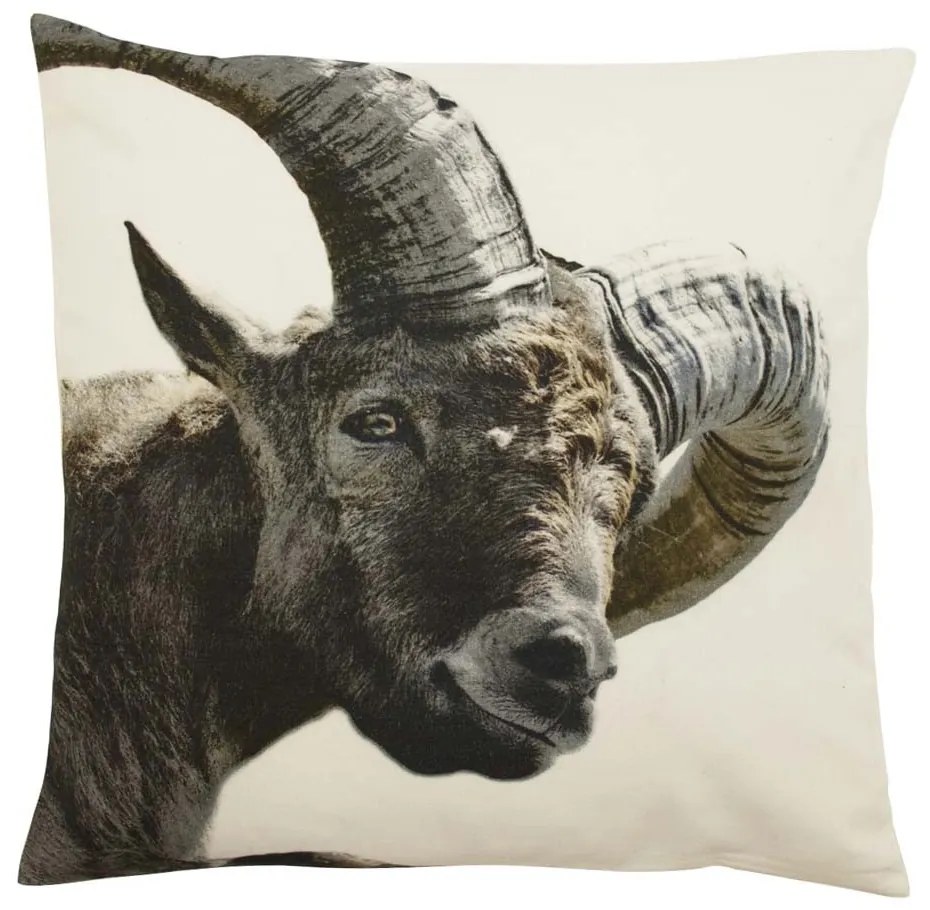 Bavlnený vankúš Koza 50x50 cm - 50*10*50cm
