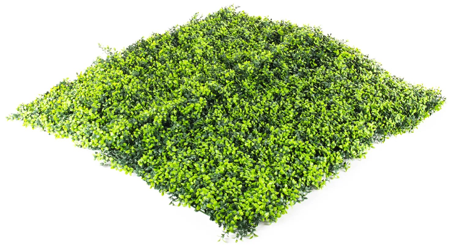 Umelý živý plot Hawaj Buxus | stena 100 x 100 cm