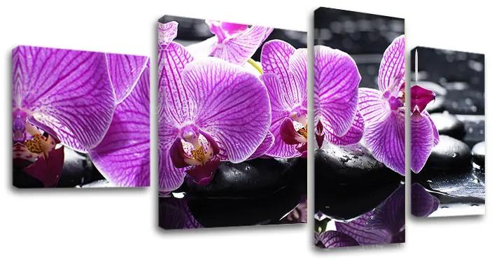 Obraz na plátne FENG SHUI | rôzne rozmery