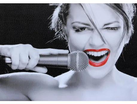 Obraz tlačený na plátne 50x70 PRC251