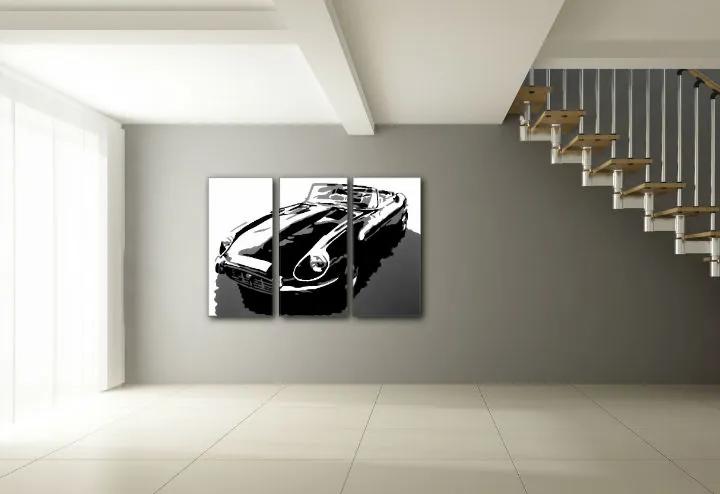 Ručne maľovaný POP Art obraz JAGUAR | rôzne rozmery