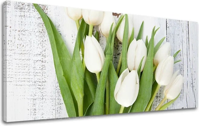 Obraz na stenu PANORÁMA KVETY KV036E13 - 50x100 cm