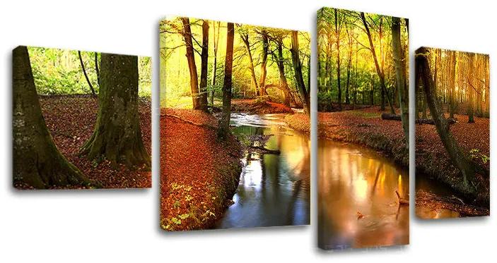 Obraz na stenu STROMY | rôzne rozmery