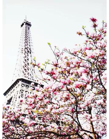 Obraz tlačený na plátne 50x70 PRC1123