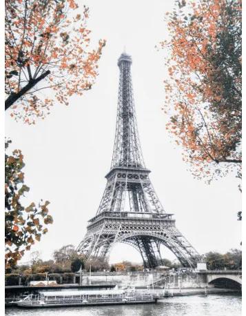 Obraz tlačený na plátne 75x100 PRC891