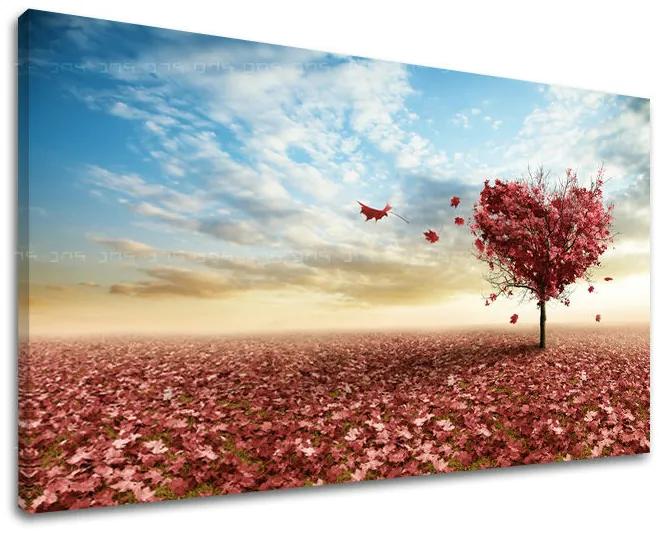 Obraz na stenu STROMY | rôzne rozmery