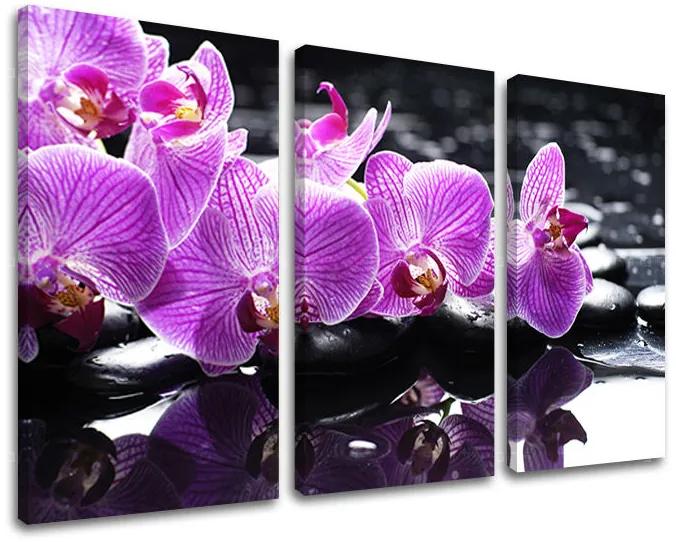 Obraz na stenu FENG SHUI | rôzne rozmery