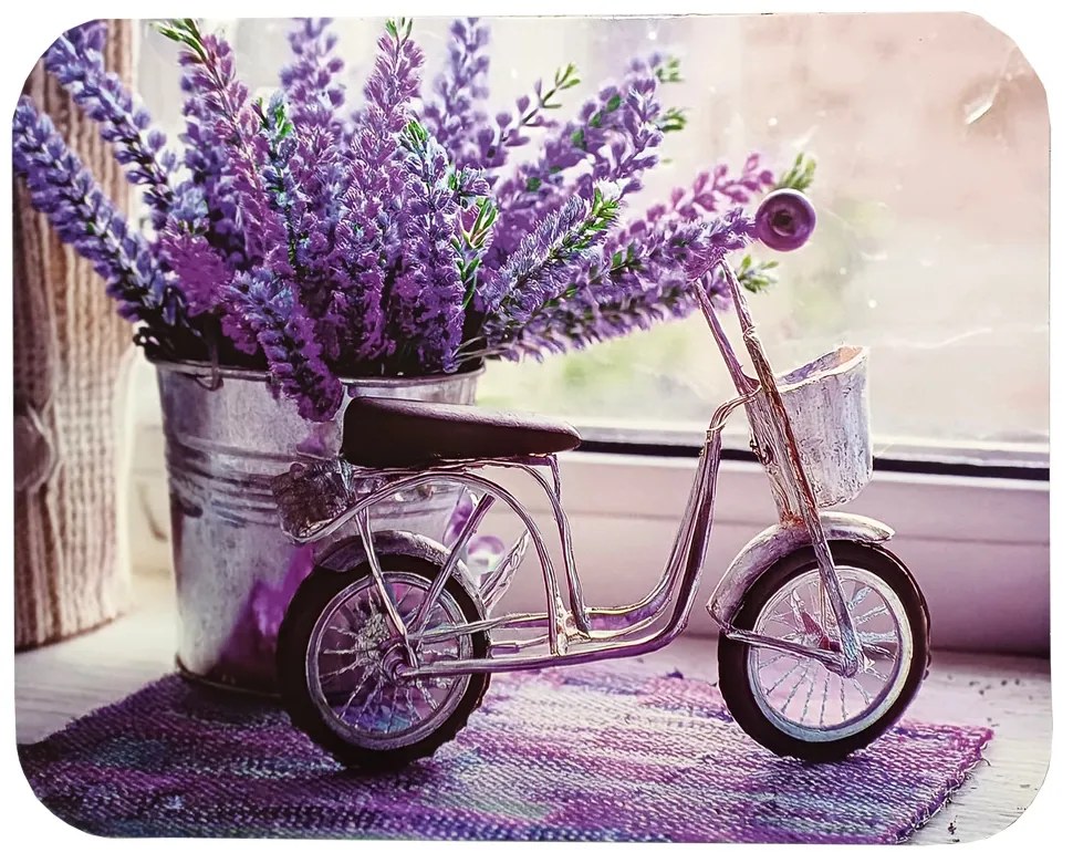 Prestieranie Bicykel