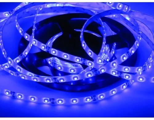 ECOLIGHT LED pásik - SMD 2835 - 5m - 60LED/m - 4,8 W/m - IP65 - modrý