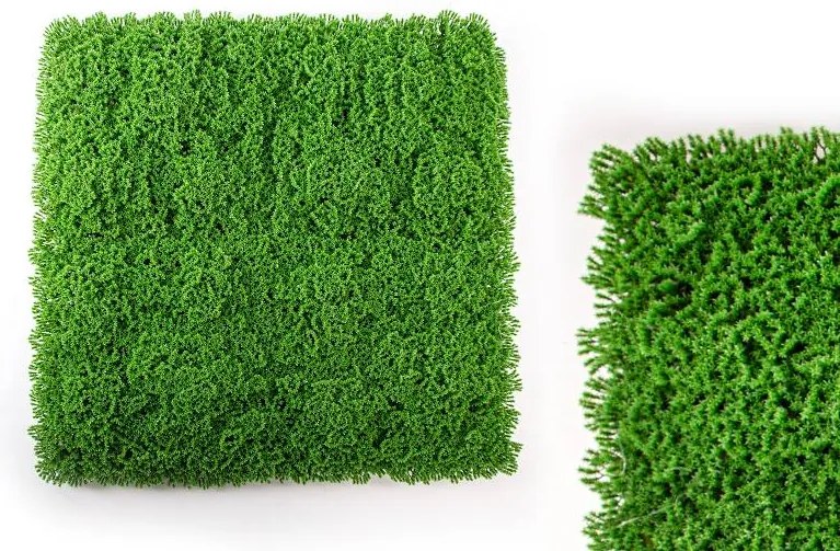 Umelý panel- imitácia mach 50cm x 50cm Umelý panel- imitácia mach 50cm x 50cm