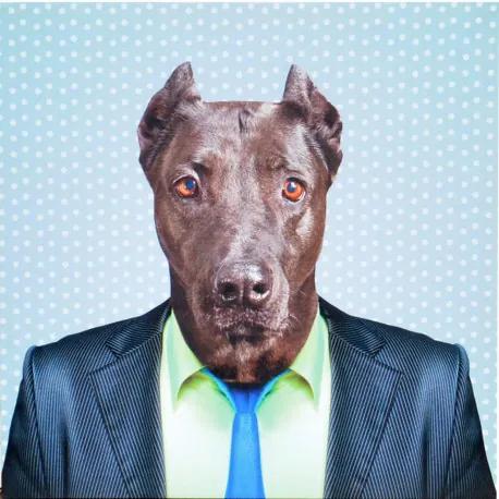 Obraz tlačený na plátne 40x40 PRC976