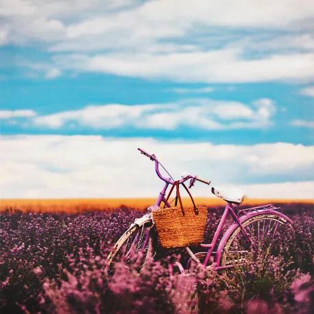 Obraz tlačený na plátne 50x50 PRC1121