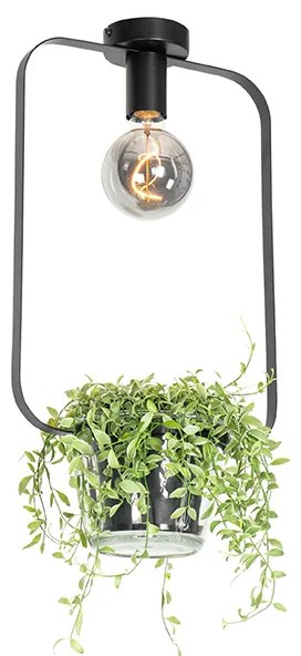 Moderné stropné svietidlo čierne so sklom obdĺžnikové - Roslini