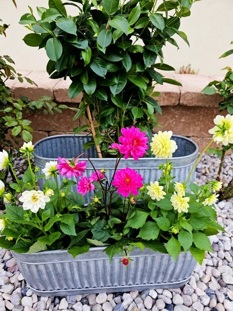 2ks zinkový antik plechový oválny kvetináč - 55*18*26 / 45*12*21 cm