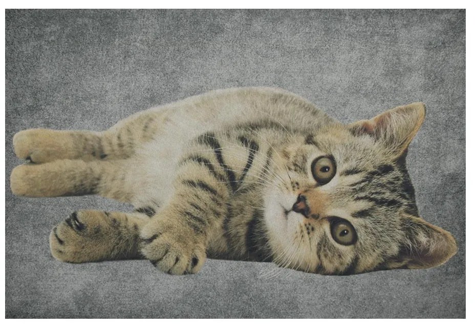 Šedá podlahová rohožka mourované mačiatko - 75 * 50 * 1cm Šedá podlahová rohožka mourované mačiatko - 75 * 50 * 1cm