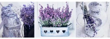 Obraz tlačený na plátne 50x150 PRC843