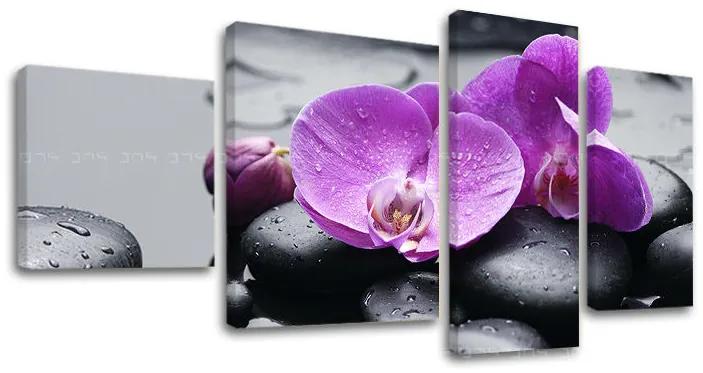 Obraz na plátne FENG SHUI | rôzne rozmery