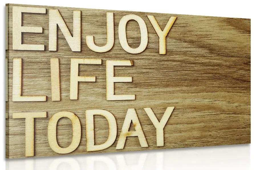 Obraz s citátom - Enjoy life today