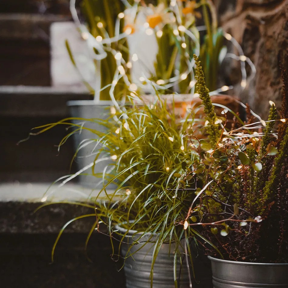 DECOLED Svetelná reťaz LED, 20 x 3 m, teplá biela, 600 diód