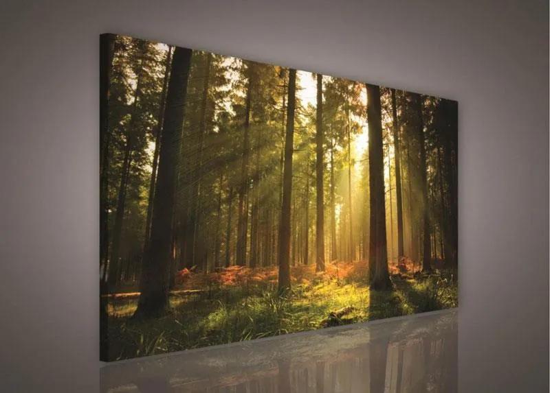 Obraz na stenu les s východom slnka 100 x 75 cm