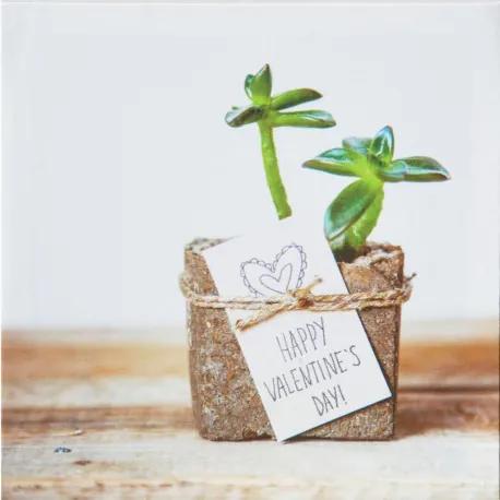 Obraz tlačený na plátne 28x28 PRC903