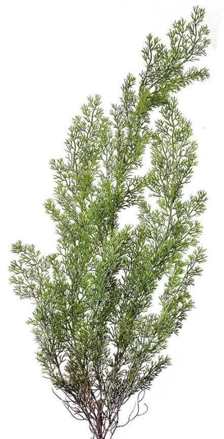 Artificial Plant 100 Cm Green Plastic - Collections