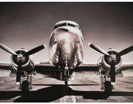 Obraz tlačený na plátne 60x80 PRC1101