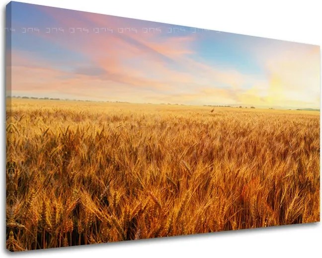 Obraz na stenu KRAJINA KR008E11