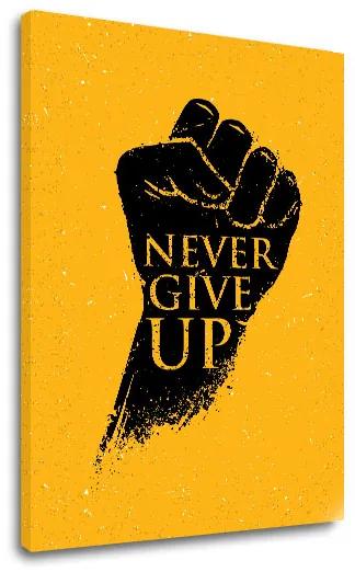 Motivačný obraz na stenu Never give up | rôzne rozmery