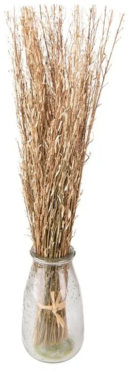 Béžovo-hnedá kytica sušená - 20*6*80 cm