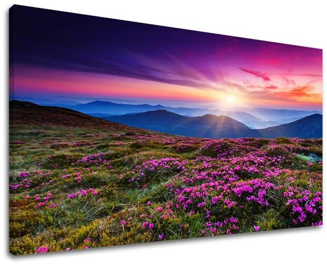 Obraz na stenu KRAJINA | rôzne rozmery