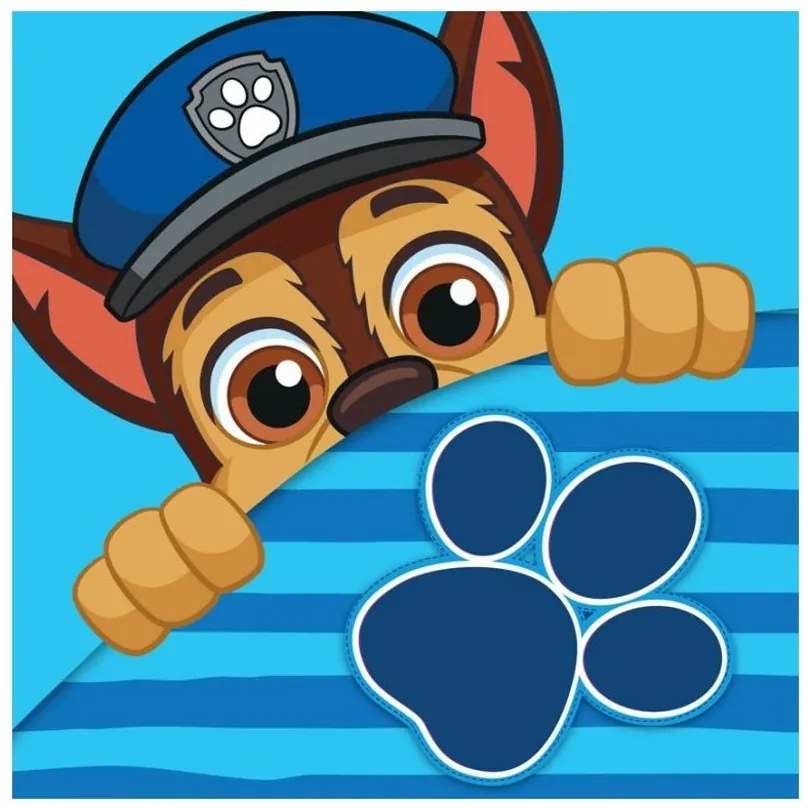 Detský / chlapčenský magický uterák Labková patrola - Paw Patrol - 100% bavlna - 30 x 30 cm
