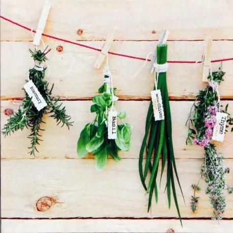 Obraz tlačený na plátne 28x28 PRC261