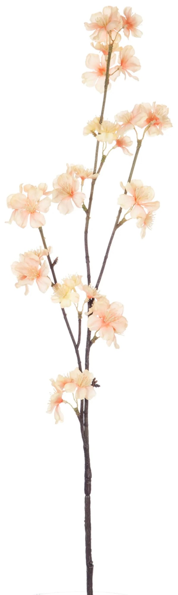 Vetvička s lososovými kvetmi Blossom - 80 cm