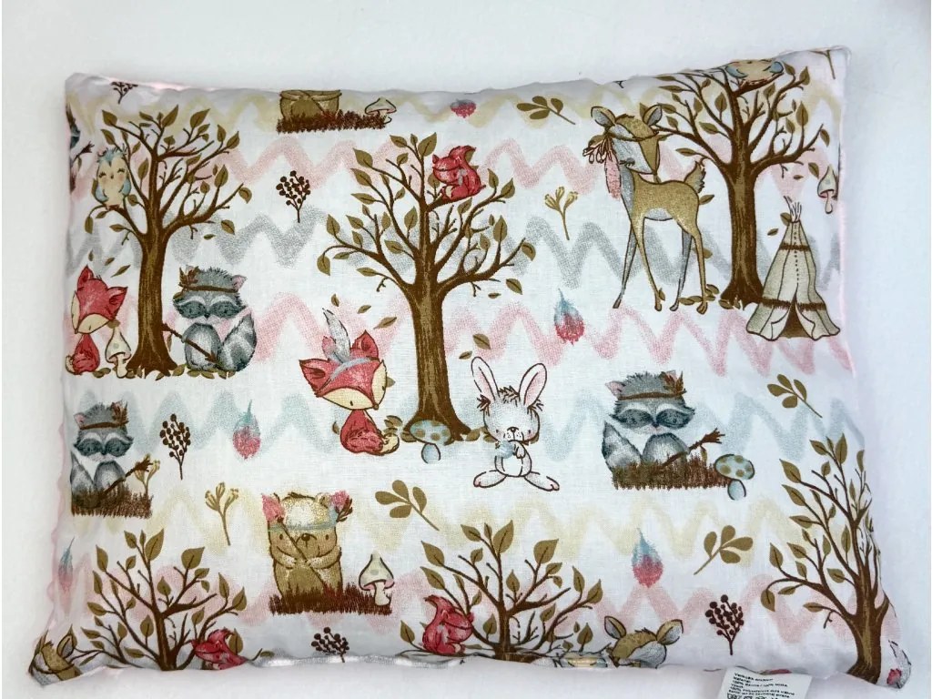 INTERMEDIC SK Vankúšik Lesík/minky ružový 40x30 cm