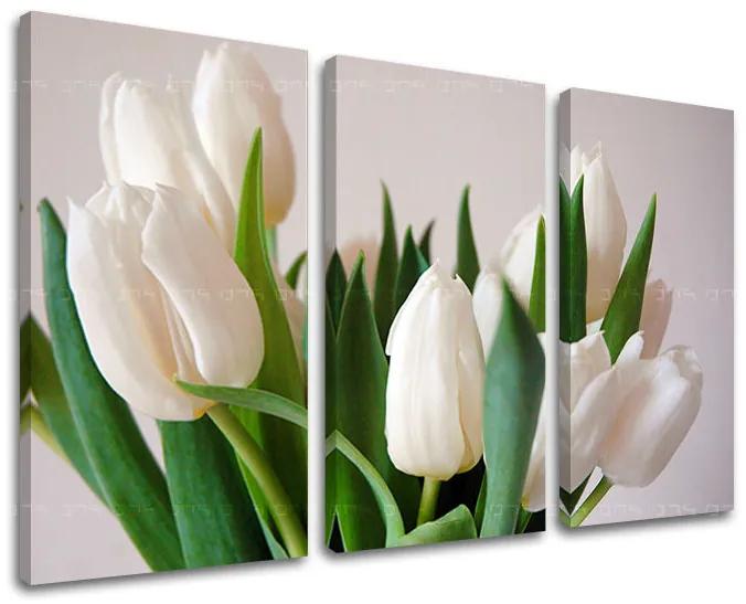 Obraz na stenu KVETY | rôzne rozmery