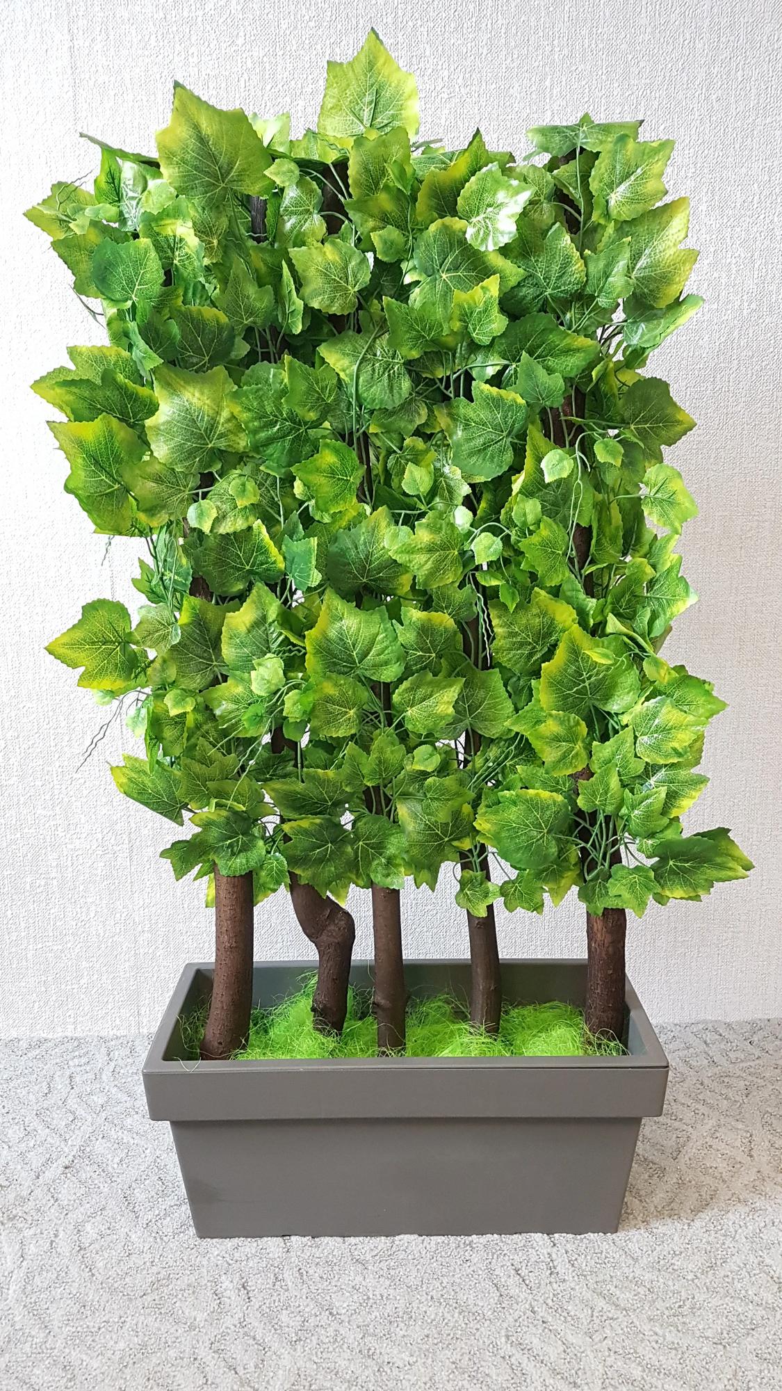 Zástena vinič 120 cm x 60 cm