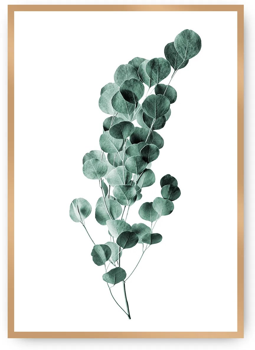 Plagát Eucalyptus Emerald Green