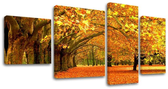 Obraz na plátne STROMY | rôzne rozmery