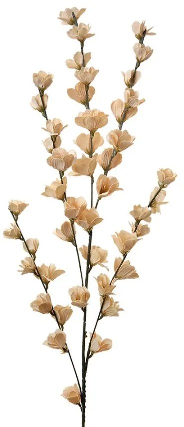 Dekorácia umelá vetvička s béžovými kvetmi - 6*6*102 cm