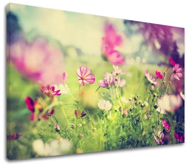 Obraz na stenu RUŽOVÉ KVETY_165-11 | rôzne rozmery