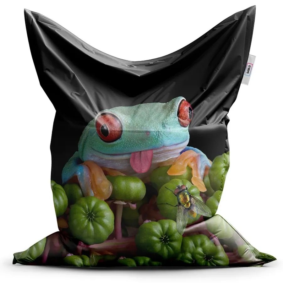 Sedací vak Classic veselá žaba, zelená / čierna