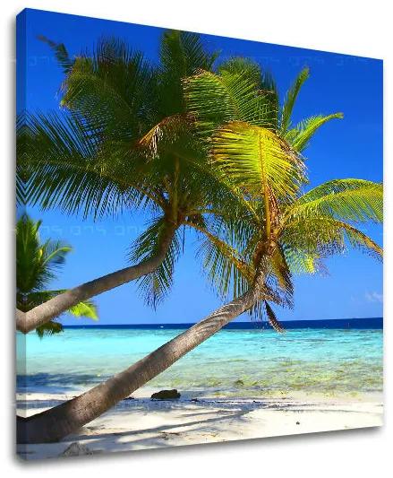 Obraz na stenu PLÁŽ | rôzne rozmery