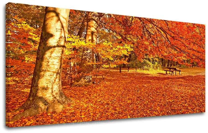 Obraz na stenu PANORÁMA STROMY | rôzne rozmery