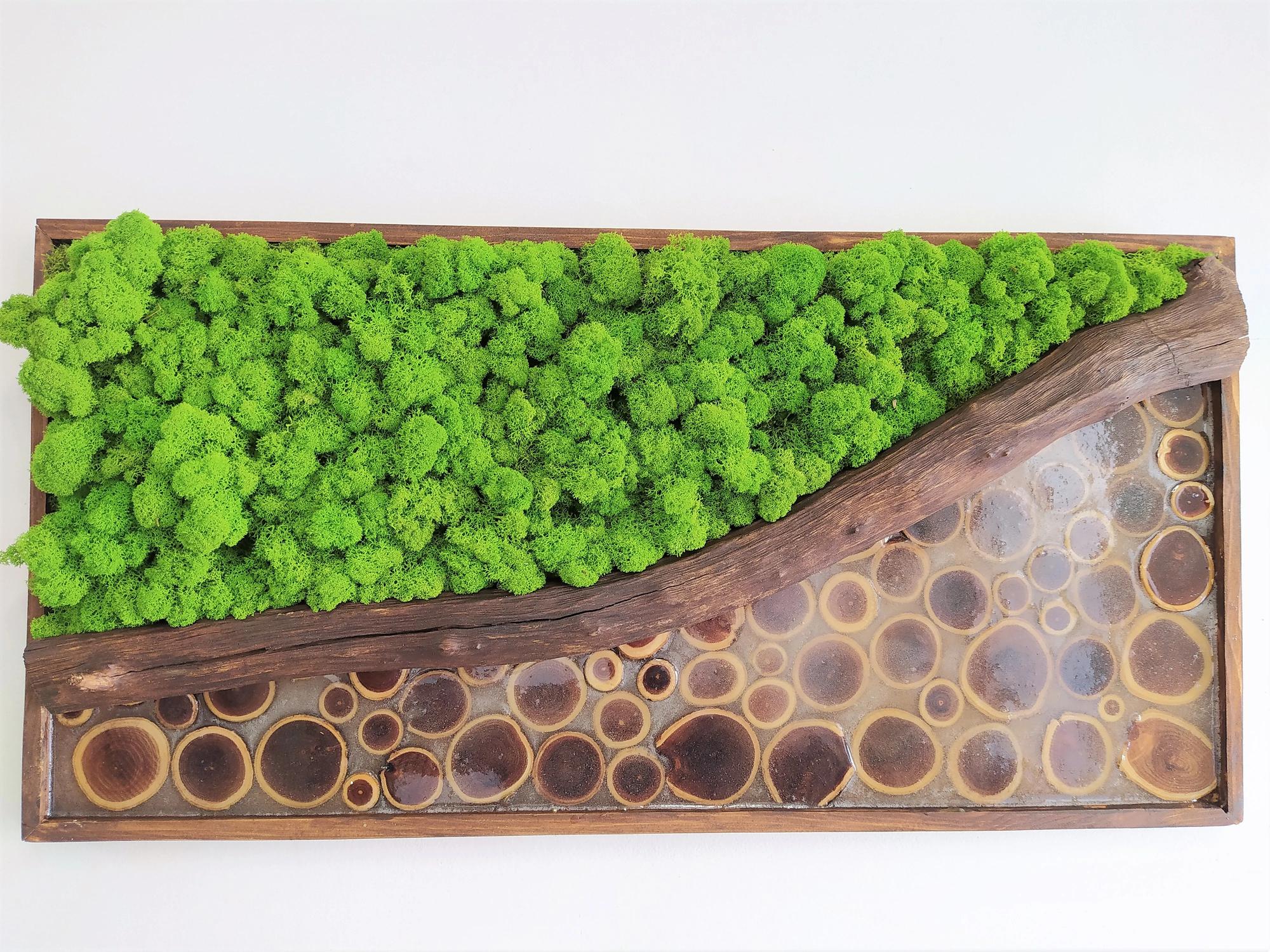 Machový obraz s epoxidom 50cm x 100cm