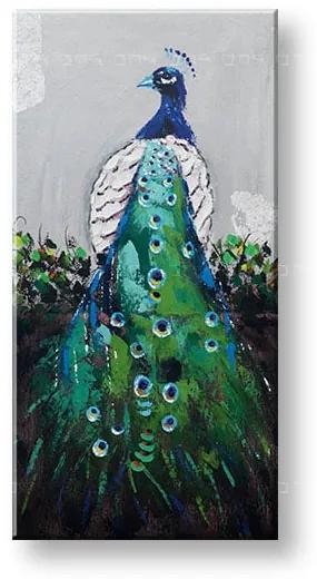 Maľovaný obraz na stenu PÁV 60x120 cm