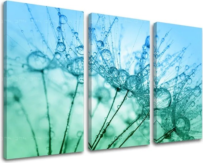 Obraz na stenu 3 dielny KVETY KV061E30 - 120x80 cm