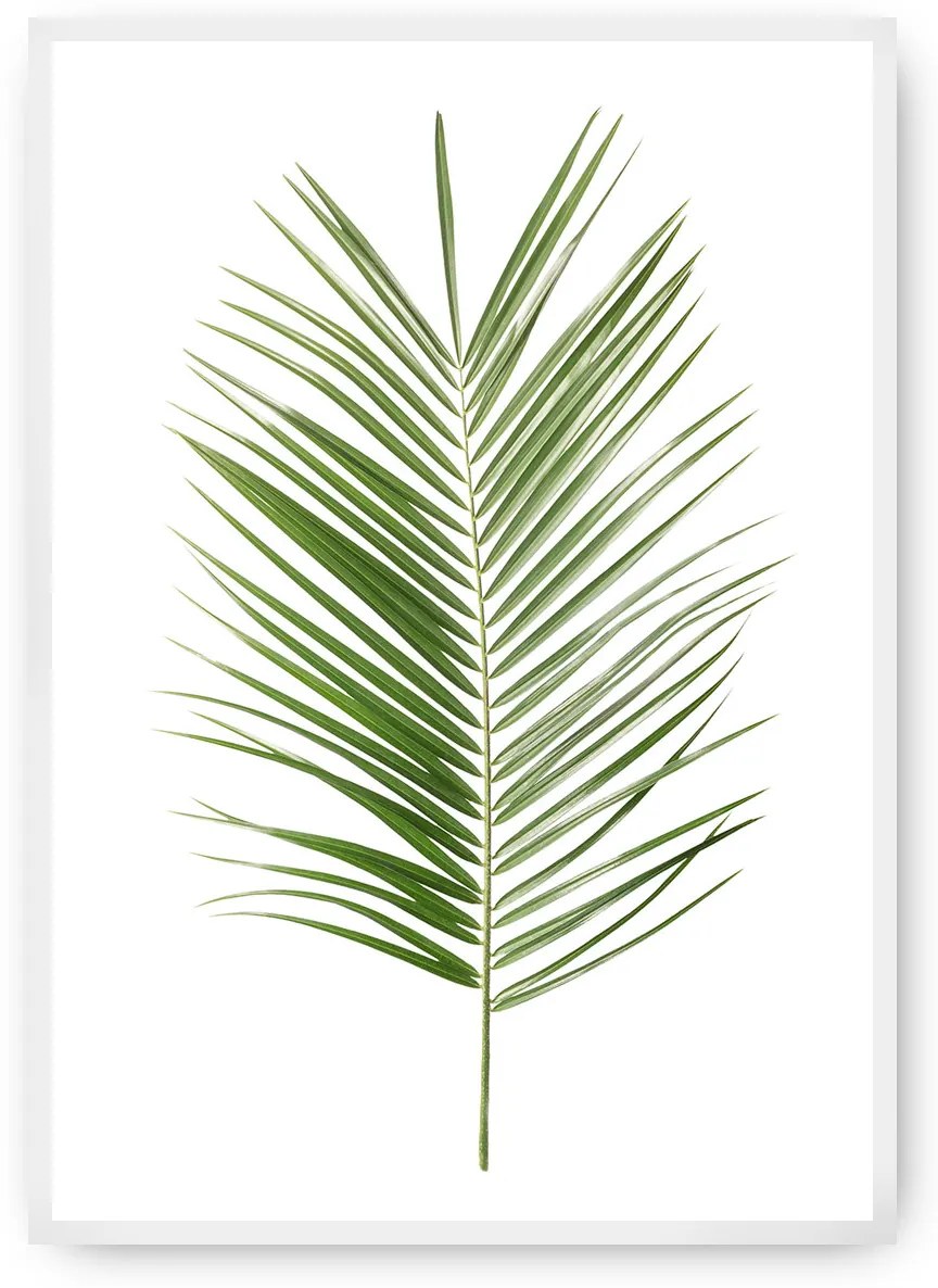 Plagát Palm Leaf Green