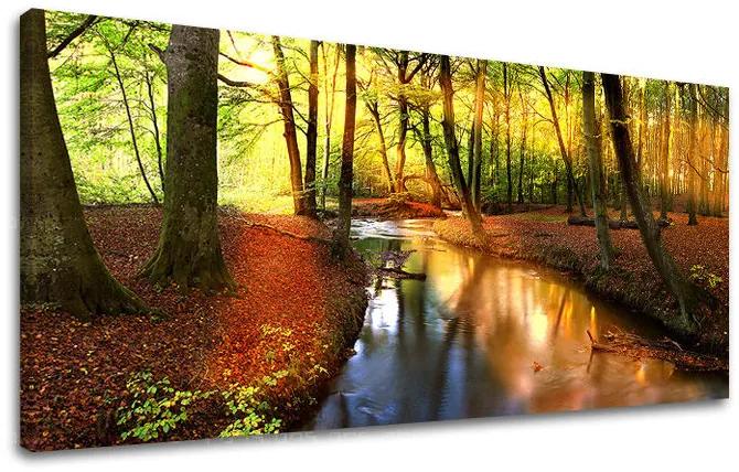 Obraz na stenu PANORÁMA STROMY | rôzne rozmery