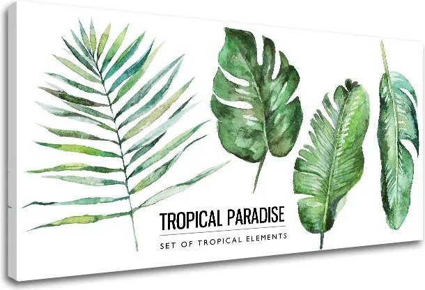 Obraz na stenu s textom Tropical paradise